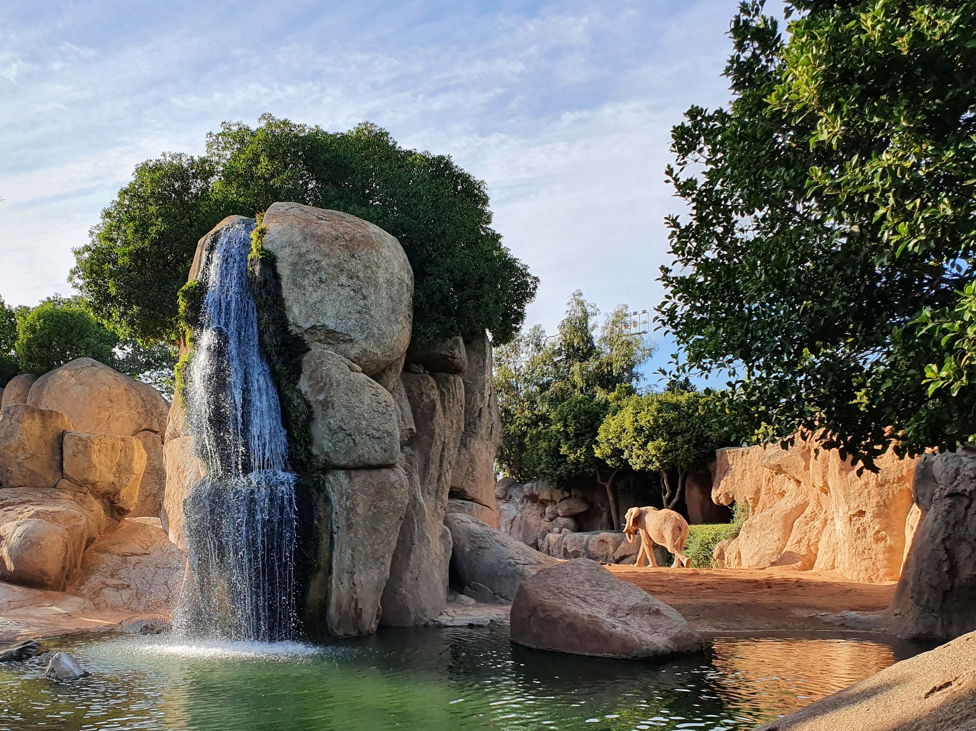 Bioparc Valencia